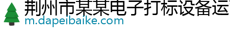 荆州市某某电子打标设备运营部